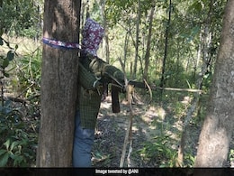 पिछले चार महीने में छत्तीसगढ़ में 80 नक्सली मारे गए, 125 गिरफ्तार और 150 ने आत्मसमर्पण किया पिछले चार महीने में छत्तीसगढ़ में 80 नक्सली मारे गए, 125 गिरफ्तार और 150 ने आत्मसमर्पण किया