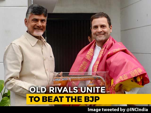 Chandrababu Naidu Meets Rahul Gandhi, Says Unity "Democratic Compulsion"