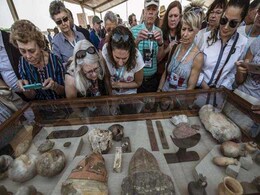 Cat Mummies, Animal Statues Discovered In Stone Tombs In Egypt Cat Mummies, Animal Statues Discovered In Stone Tombs In Egypt