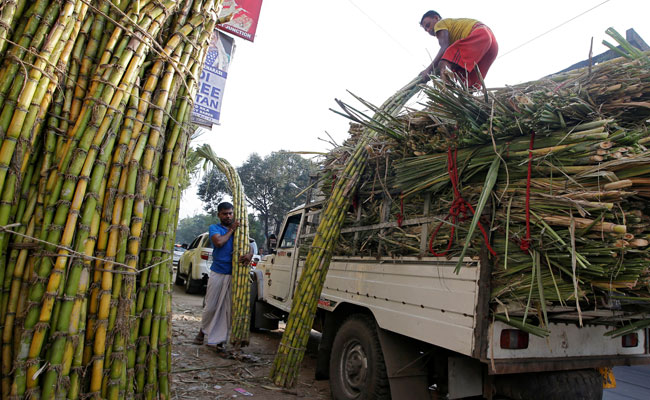India Sugar Subsidies Hurt Our Farmers, Says Australia As It Goes To WTO India Sugar Subsidies Hurt Our Farmers, Says Australia As It Goes To WTO