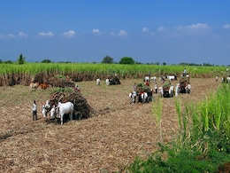 No Aid To 96,811 Farmers As Bank Accounts Not Linked To Aadhaar: Minister No Aid To 96,811 Farmers As Bank Accounts Not Linked To Aadhaar: Minister