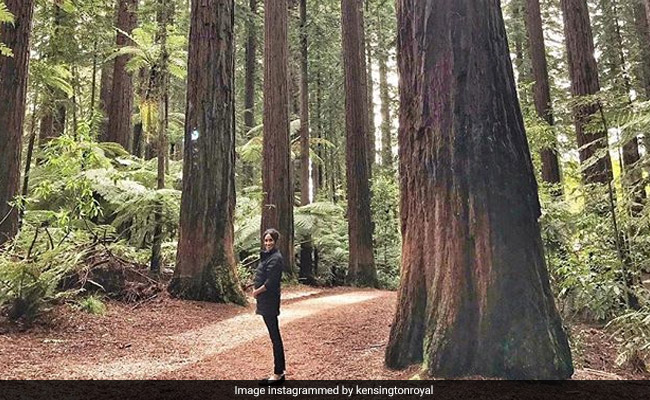 Prince Harry Turns Photographer As Wife Meghan Cradles Her Baby Bump