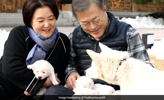 Doggy Diplomacy: South Korea President Snuggles With Kim Jong's Pups