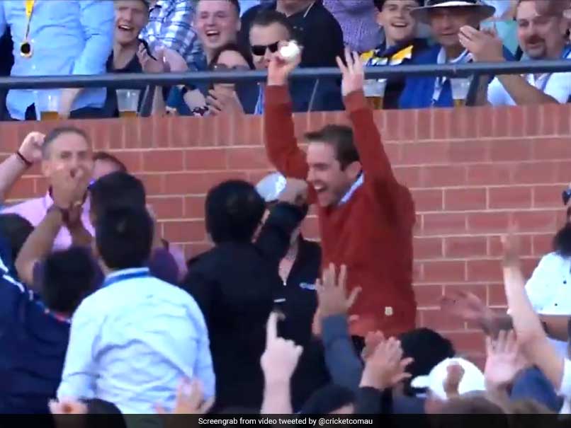 Australia vs South Africa: Aiden Markram Dispatches Mitchell Starc's 150Kph Thunderbolt, Fan Catches It - Watch