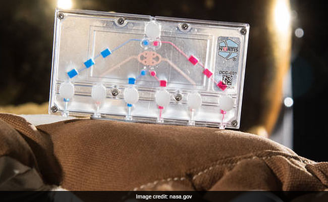 NASA To Send Tissue Chips To Space To Test Human Health, Genetic Changes
