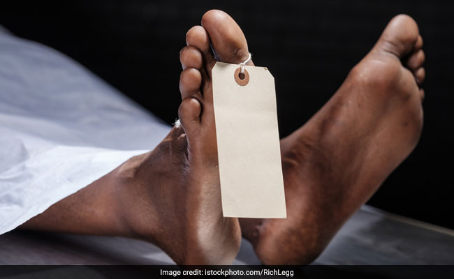3 Dead In Karnataka From 'Monkey Fever', Vaccination Underway