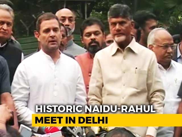 Have To Defend Democracy, Says Rahul Gandhi After Meeting Chandrababu Naidu