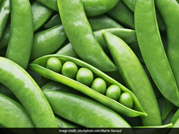 Are You Struggling To Lose Weight? Include These Top Plant-Based Protein Foods In Your Diet Right Now Are You Struggling To Lose Weight? Include These Top Plant-Based Protein Foods In Your Diet Right Now