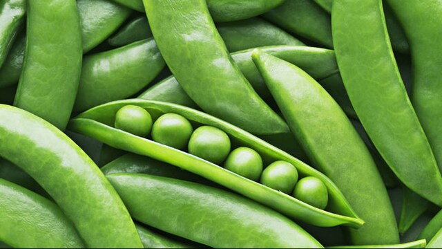 Plant-based proteins are low in calories