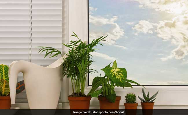 4 Ways To Add Greenery To Your Home Even If You Don't Have A Green Thumb