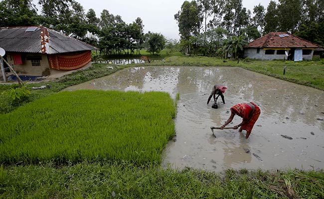 India Expresses "Strong Reservation" On Paris Climate Talks Rulebook