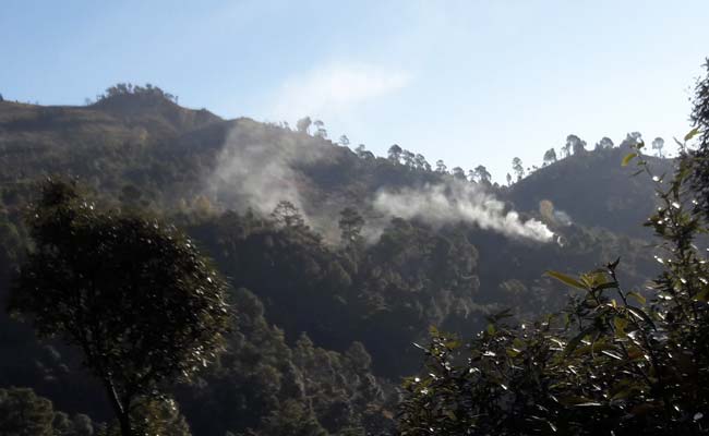 पाकिस्तान की नापाक हरकत! किया सीजफायर का उल्लंघन, भारतीय चौकियों और गावों पर दागे गोले