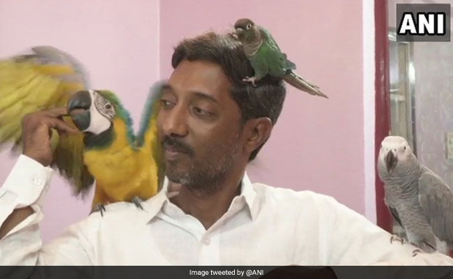 Meet Karnataka Veterinary Doctor Who Lives With Parrots From 29 Countries