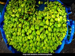 Water Chestnut For Diabetes: डायबिटीज रोगियों के लिए वरदान है सिंघाड़ा, ब्लड शुगर लेवल में करता है तेजी से सुधार Water Chestnut For Diabetes: डायबिटीज रोगियों के लिए वरदान है सिंघाड़ा, ब्लड शुगर लेवल में करता है तेजी से सुधार