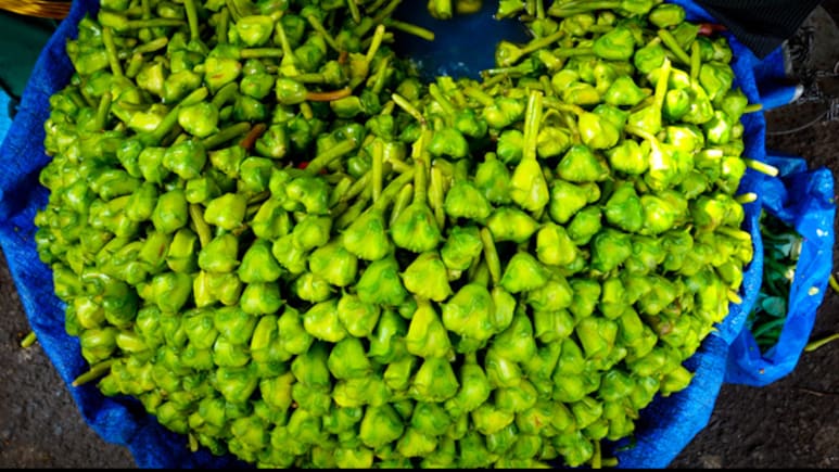 Benefits Of Singhara: सर्दियों में सिंघाड़ा खाने के 5 कमाल के फायदे