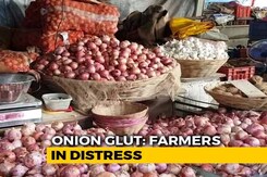 Why Onion Prices Bring Tears To Farmers Why Onion Prices Bring Tears To Farmers