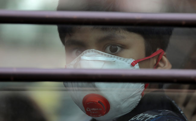 The team tested how well their modified plants could remove the pollutants from air
