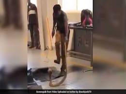Man Tried To Run Over A Snake. It Survived And Crawled Inside The Car Man Tried To Run Over A Snake. It Survived And Crawled Inside The Car