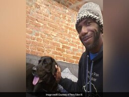 "Check Your Peemail": San Francisco Wants Dog Walkers With Writing Skills "Check Your Peemail": San Francisco Wants Dog Walkers With Writing Skills