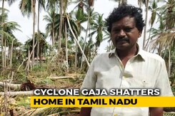 In Cyclone Gaja-Hit Areas, An Alarming Pattern Of Suicidal Tendencies In Cyclone Gaja-Hit Areas, An Alarming Pattern Of Suicidal Tendencies
