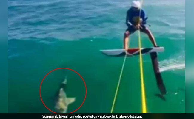 GoPro Video Captures The Moment Kite Surfer Collided With Shark