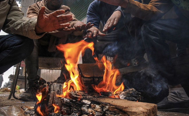In January, Delhi Saw 7 "Cold Wave" Days, Maximum Since 2008: Met Office