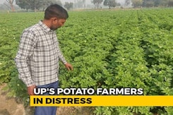Farm Loan Waivers A Short Term Solution, Say Farmers Farm Loan Waivers A Short Term Solution, Say Farmers