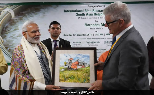 PM Modi Inaugurates International Rice Research Centre In Varanasi