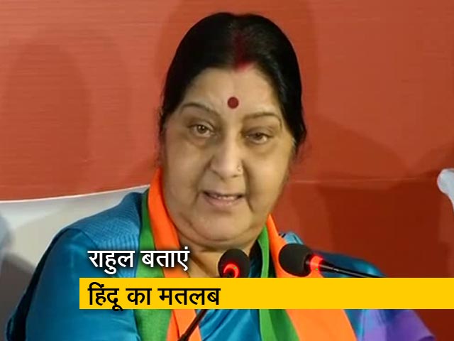 विदेश मंत्री सुषमा स्वराज का निशाना- राहुल बताएं हिंदू होने का मतलब क्या है ?