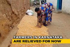 From Karnataka, A Reality Check On Farm Loan Waivers From Karnataka, A Reality Check On Farm Loan Waivers