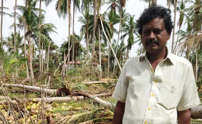 In Cyclone Gaja-Hit Areas, An Alarming Pattern Of Suicidal Tendencies