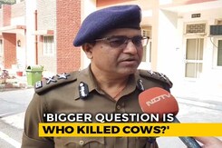"Who Slaughtered Cows? That's The Bigger Question": Top UP Cop's Shocker "Who Slaughtered Cows? That's The Bigger Question": Top UP Cop's Shocker