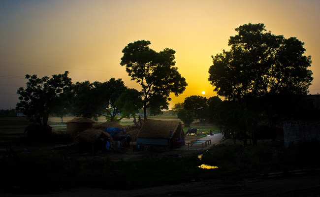 Bihar Village That Transformed Wasteland Into Oasis