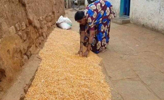 From Karnataka, A Reality Check On Farm Loan Waivers