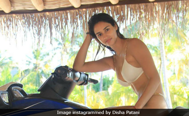 Disha Patani Shares Her New Year's Plan In An Instagram Post, Now Viral