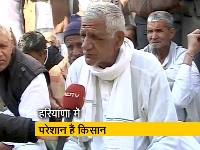 कर्ज के चंगुल में फंसे हैं हरियाणा के किसान