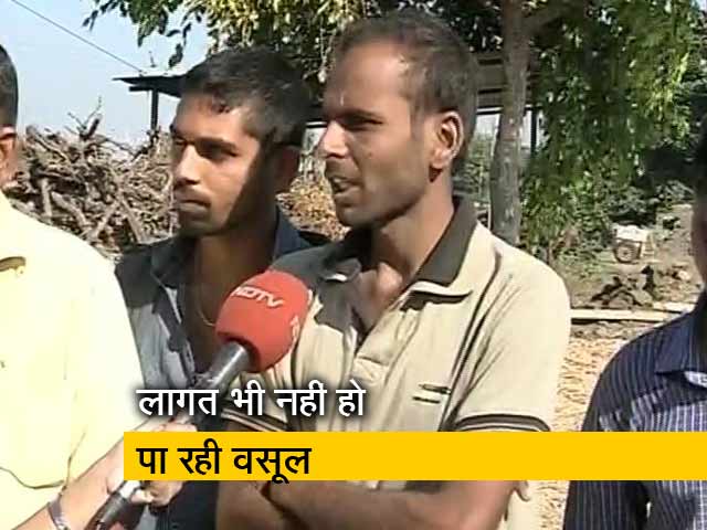 नासिक के प्याज किसान परेशान