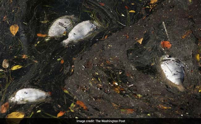 From Edge Of Solar System To Crises On Earth, Top Science Stories of 2018