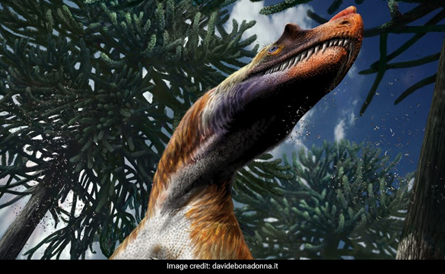 Dinosaur That Existed In Italy 198 Million Years Ago Was Given Sea Burial