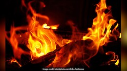 Explosion At Tequila Factory In Mexico Kills 5