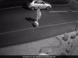 मालिक ने दिया कुत्ते को धोखा, ठंड में बाहर छोड़कर ऐसे पाया छुटकारा, Video देखकर हो जाएंगे इमोश्नल मालिक ने दिया कुत्ते को धोखा, ठंड में बाहर छोड़कर ऐसे पाया छुटकारा, Video देखकर हो जाएंगे इमोश्नल
