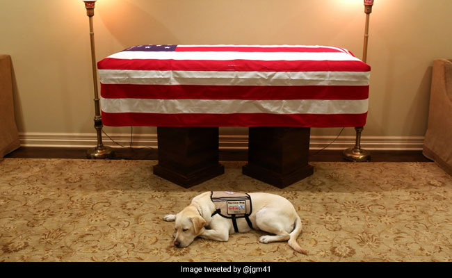 'Mission Complete': George HW Bush's Service Dog Pays Last Respects