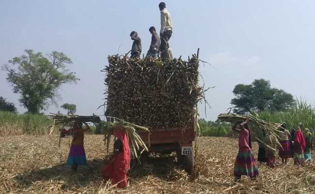 Centre Has No Farmer Suicide Data Since 2016, Minister Told Parliament