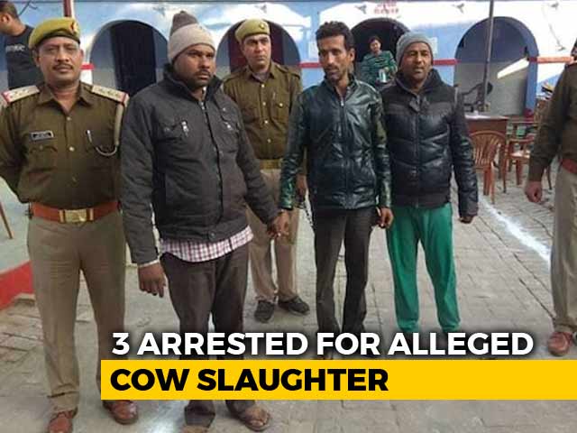 3 Arrested In Bulandshahr For Cow Slaughter, Cop's Killers Still Missing