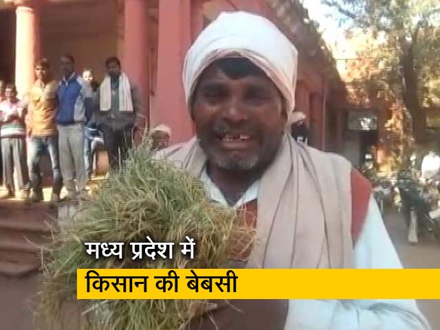 बिजली कनेक्शन नहीं मिला, तो DM के पैरों में गिरकर फफक-फफक कर रोने लगा किसान