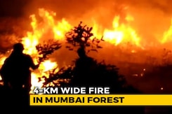 4 Km-Wide Mumbai Forest Fire Doused Before It Reached Residential Areas 4 Km-Wide Mumbai Forest Fire Doused Before It Reached Residential Areas