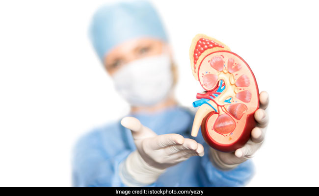 World Kidney Day is observed on March 14