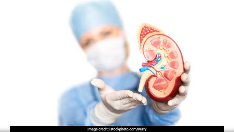 Kidney Donate करना आसान नहीं, जानिए कौन, कब और कैसे कर सकता है किडनी दान, जानें किडनी ट्रांसप्लांट का पूरा प्रोसेस
