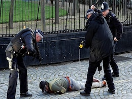 British Police Arrest Man Inside The Grounds Of Parliament British Police Arrest Man Inside The Grounds Of Parliament