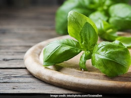 सुबह बासी मुंह चबा लें इस चीज का पत्ता, मिलेंगे अनेक फायदे, इन स्वास्थ्य समस्याओं से राहत दिलाने में मददगार, जानें सही तरीका